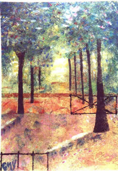 Viale alberato