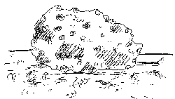 spugna
