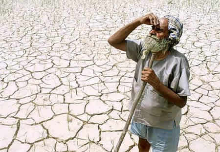L'ambiente in pericolo. La siccità