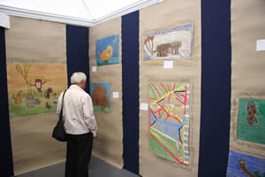 La mostra