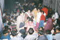 ZOOM - GALLERY